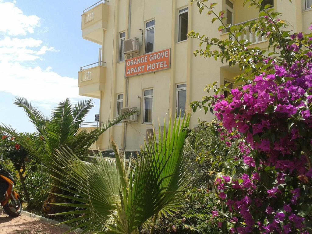 Apart Otel Orange Grove Apart